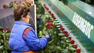 Рынок цветов в 2022 году - комментарии и прогнозы экспертов