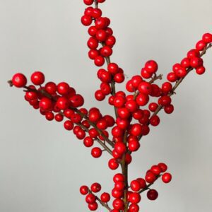 Илекс ROOD