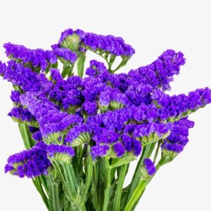 Статица PURPLE ESMERALDA