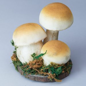 Декоративная композиция грибочки, 8*8*8 см