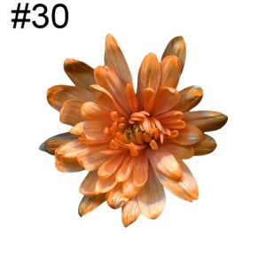 Краска для срезанных цветов, 0,275л., №30, мандариновый