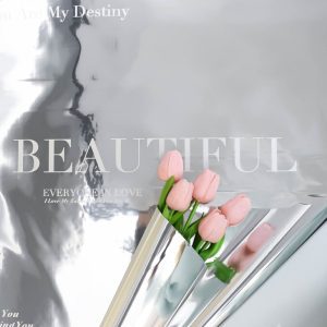 Пленка матовая 30мкм 58см х 10м РЦ Beautiful на серебре надпись белый