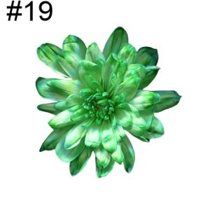 Краска для срезанных цветов, 1 литр, №19, зеленый