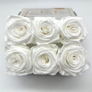Роза стабилизированная, 6шт/уп., White