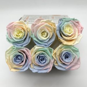 Роза стабилизированная, 6шт/уп., Pastel rainbow