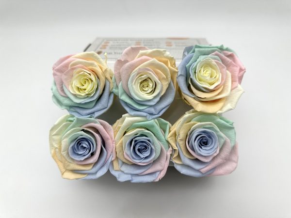 Роза стабилизированная, 6шт/уп., Pastel rainbow