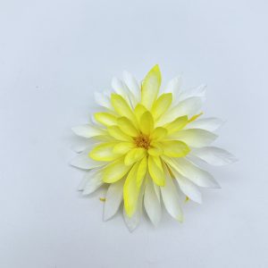 Георгин (Dahlia) стабилизированный, 1шт/уп., Chroma sunny