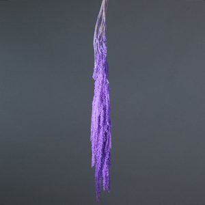 Сухоцвет "Амарантус", длина 70-80 см, 5 шт. лавандовый