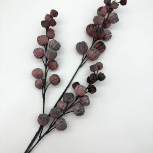 Иск. Тыква кустовая, красная