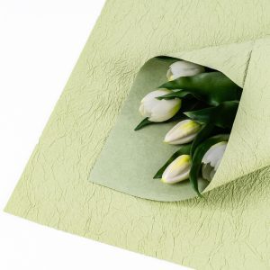 Бумага Крепированная 58*56см Зеленое яблоко 09 5шт/уп т.м.100