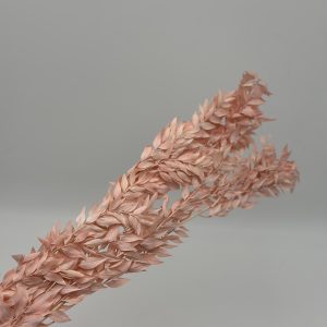 Сухоцвет "Рускус" ИГ, 50гр. высота 65-70см, светло-розовый
