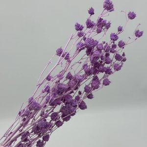 Сухоцвет "Канатник", Сиреневый, 65-70см, 70гр