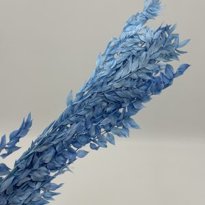 Сухоцвет "Рускус" ИГ, 50гр. высота 65-70см, голубой