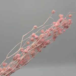 Сухоцвет "Канатник", Розовый, 65-70см, 70гр